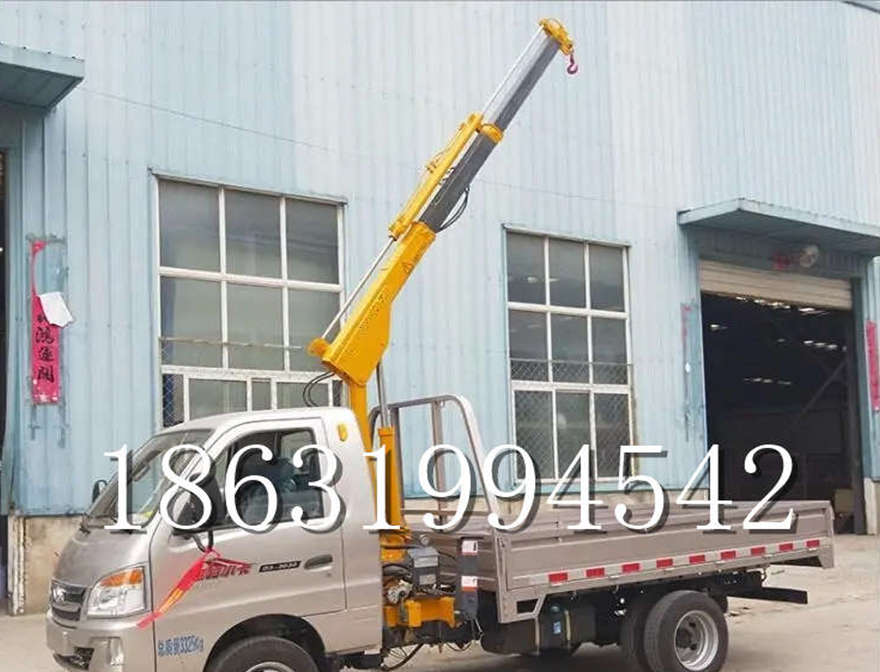 梁河县车载吊机小吊机220V车载吊机起重机小型吊车车载小型